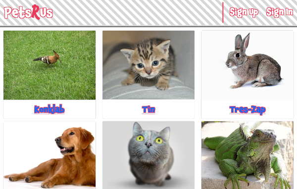Image of Pets R Us